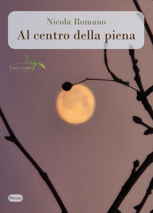 Cover of Al centro della piena