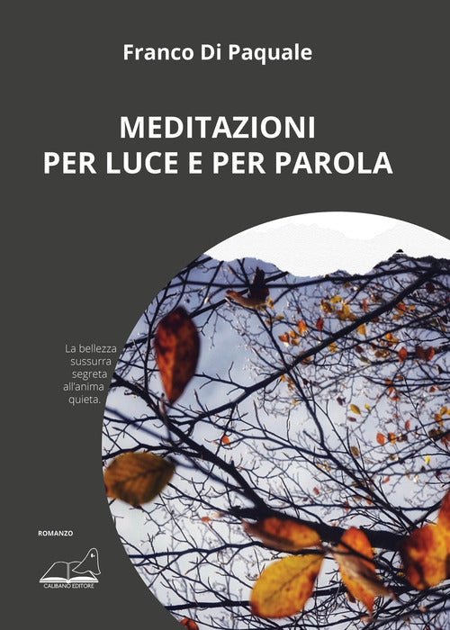 Cover of Meditazioni per luce e per parola