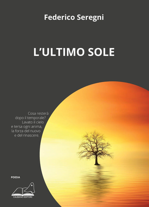 Cover of ultimo sole