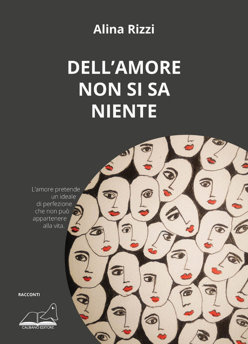 Cover of Dell'amore non si sa niente