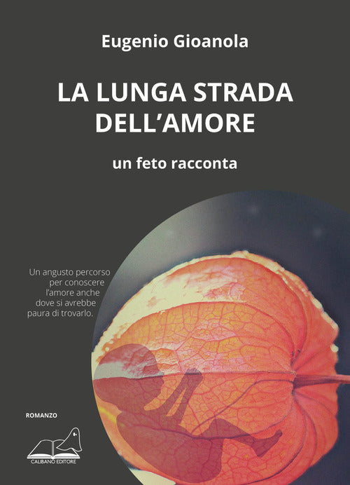 Cover of lunga strada dell'amore. Un feto racconta