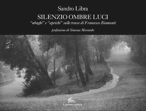 Cover of Silenzio ombre luci. «Ubaghi» e «aprichi» sulle tracce di Francesco Biamonti