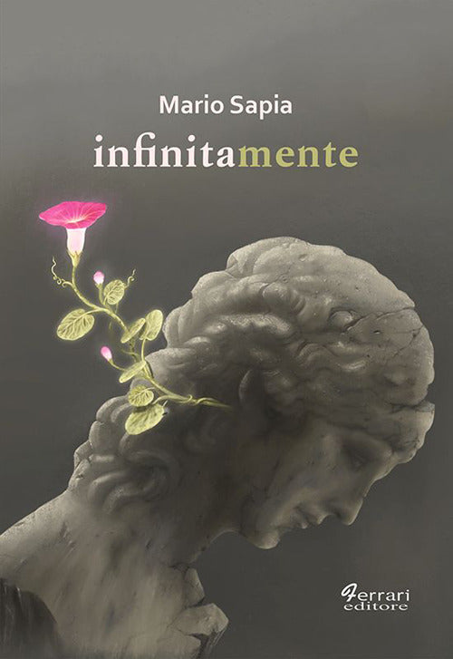 Cover of Infinitamente