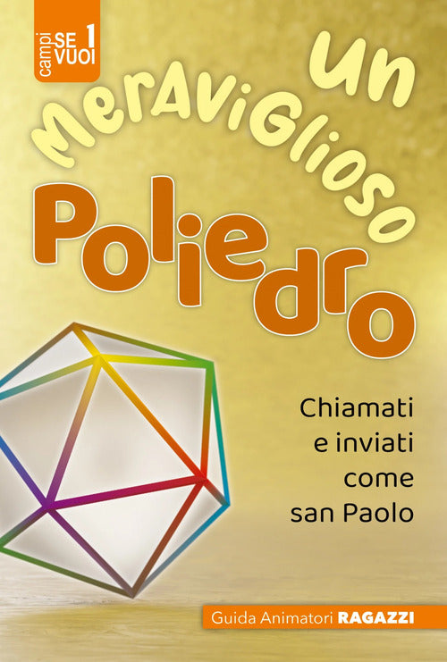 Cover of meraviglioso poliedro. Ragazzi 8/10