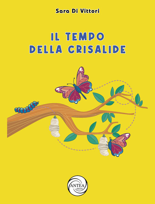 Cover of tempo della crisalide