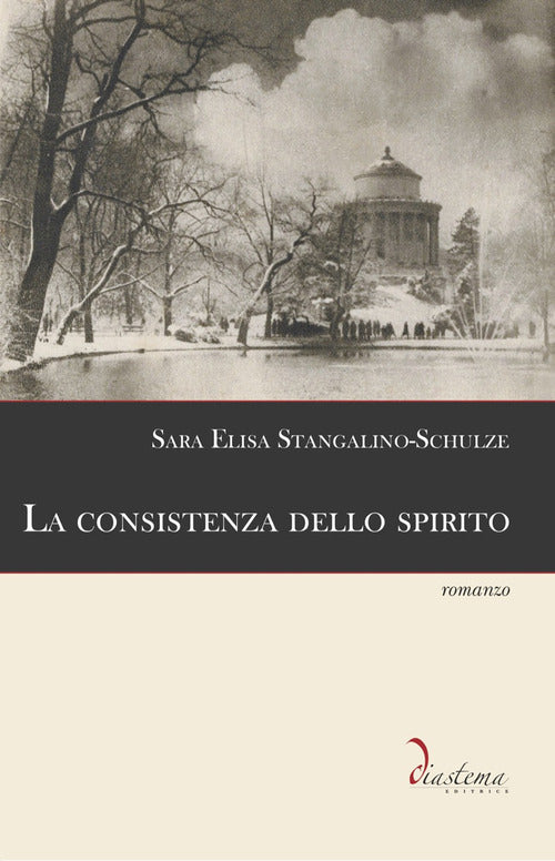 Cover of consistenza dello spirito