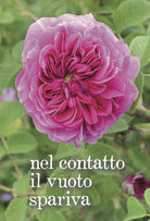 Cover of Nel contatto il vuoto spariva