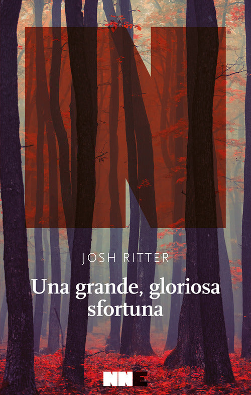 Cover of grande, gloriosa sfortuna