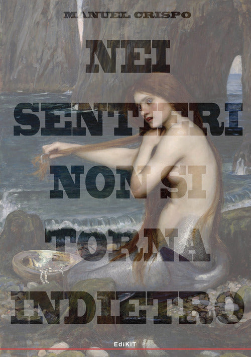 Cover of Nei sentieri non si torna indietro