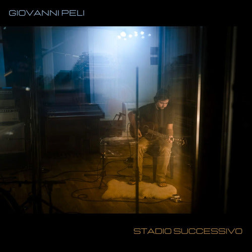 Cover of Stadio successivo