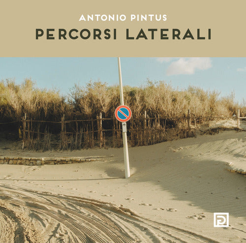 Cover of Percorsi laterali