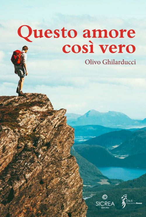 Cover of Questo amore così vero