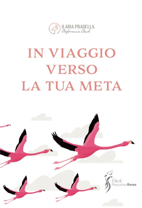 Cover of In viaggio verso la tua meta