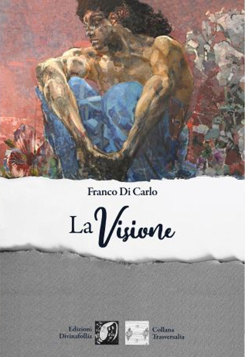 Cover of visione