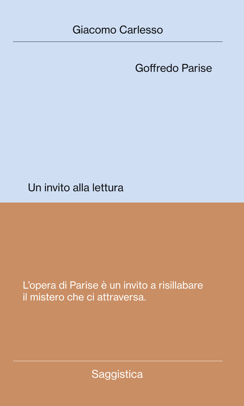 Cover of Goffredo Parise. Un invito alla lettura