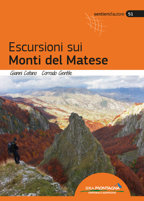 Cover of Escursioni sui monti del Matese