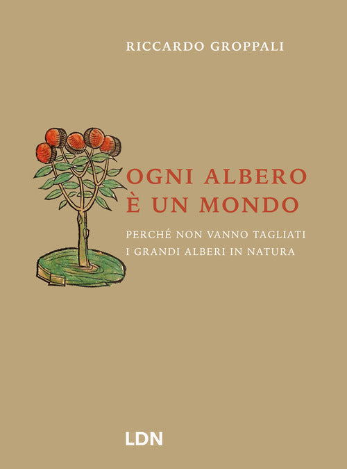 Ogni albero un mondo. Perch non vanno tagliati i grandi alberi in natura