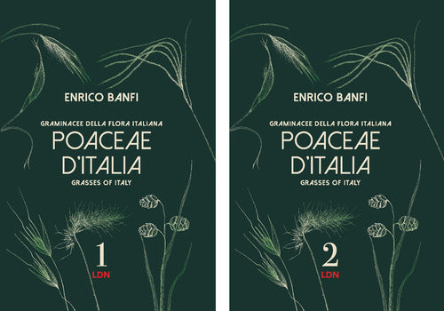 Poaceae d'Italia. Graminacee della flora italiana-Grasses of Italy
