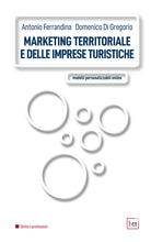 Cover of Marketing territoriale e delle imprese turistiche. Modelli personalizzabili online
