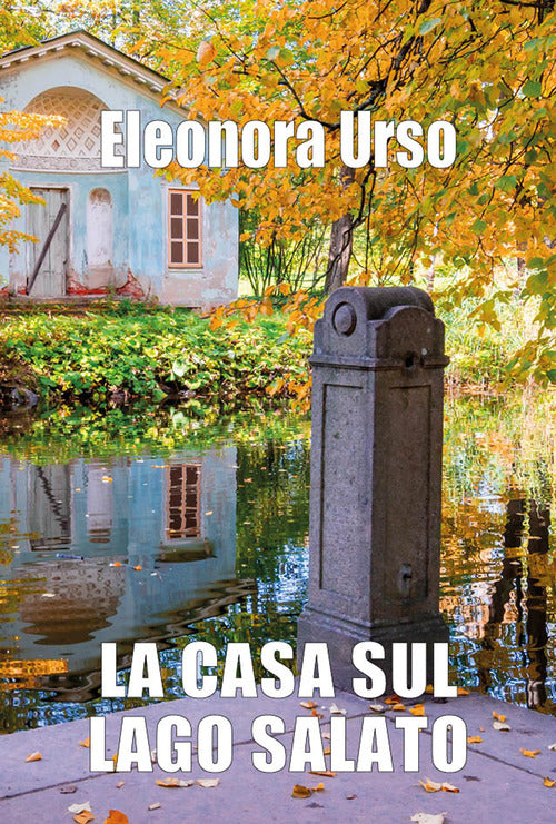 Cover of casa sul lago salato