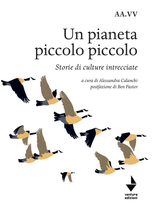 Cover of pianeta piccolo piccolo