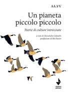 Cover of pianeta piccolo piccolo