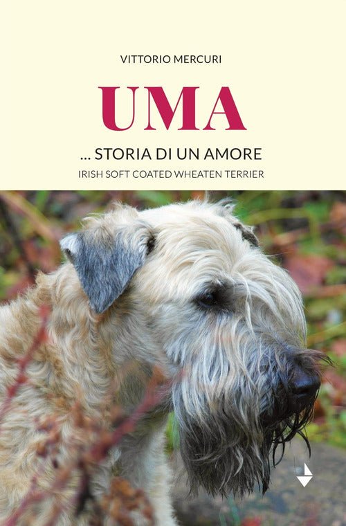 Cover of Uma... storia di un amore. Irish Soft Coated Wheaten Terrier