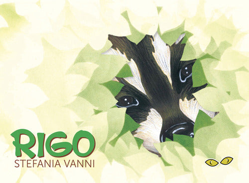 Cover of Rigo