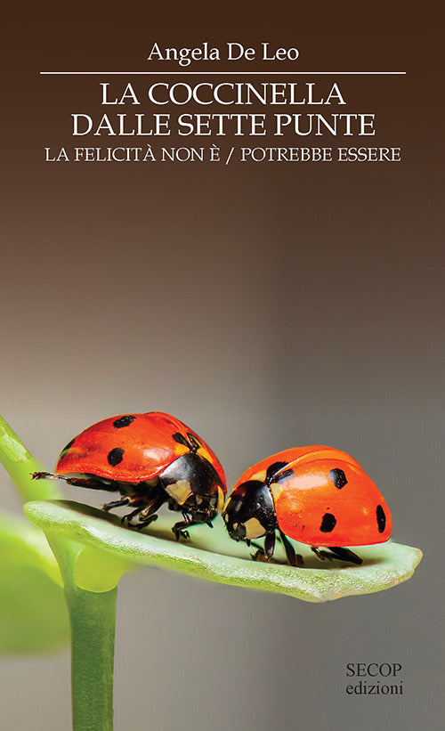 La coccinella dalle sette punte. La felicit non . La felicit potrebbe essere