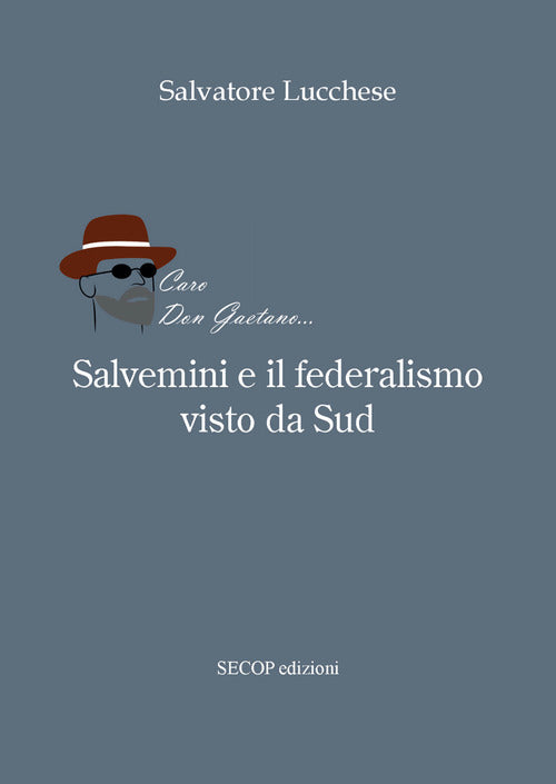 Cover of Salvemini e il federalismo visto da sud