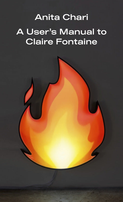 A Users Manual to Claire Fontaine