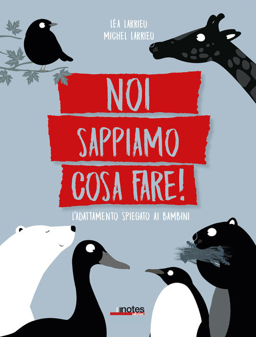 Cover of Noi sappiamo cosa fare! L'adattamento spiegato ai bambini
