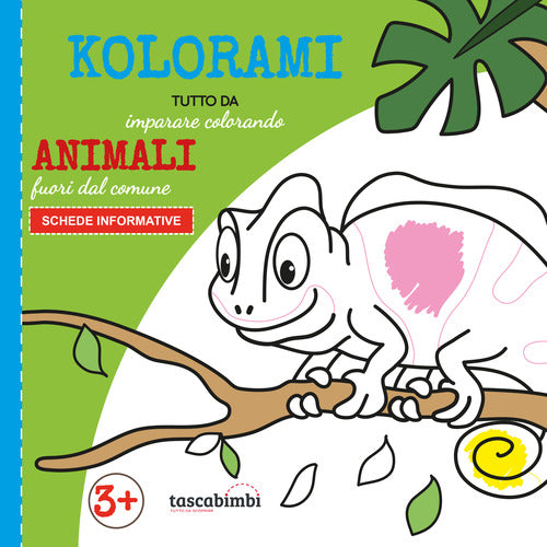 Cover of Animali fuori dal comune 3+. Tutto da imparare colorando