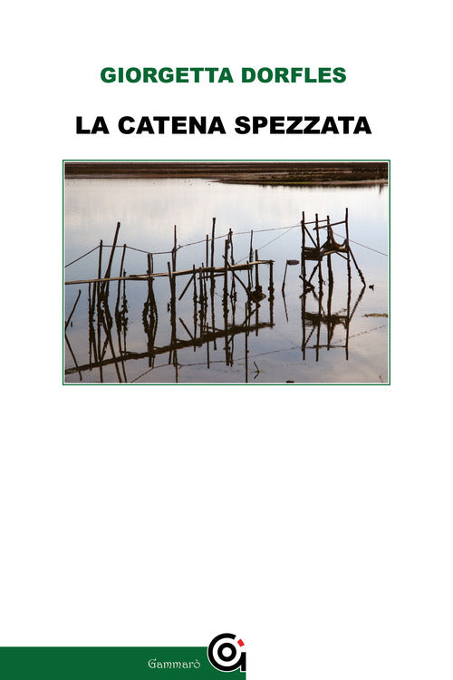 Cover of catena spezzata