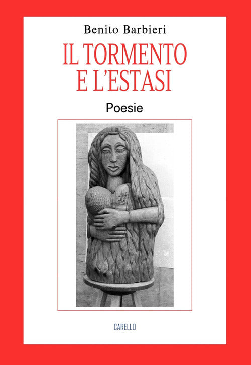 Cover of tormento e l'estasi