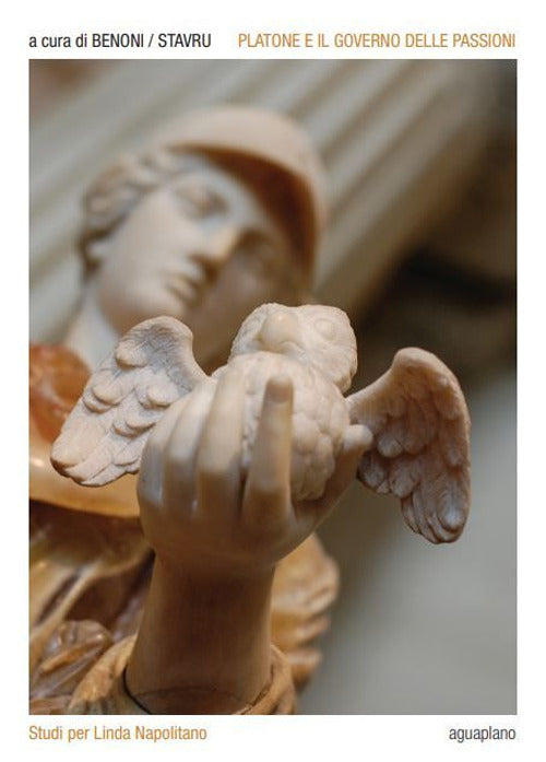 Cover of Platone e il governo delle passioni. Studi per Linda Napolitano