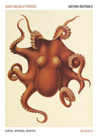 Cover of Natura instabile. Ordine, entropia, divenire