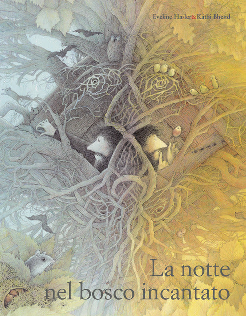 Cover of notte nel bosco incantato