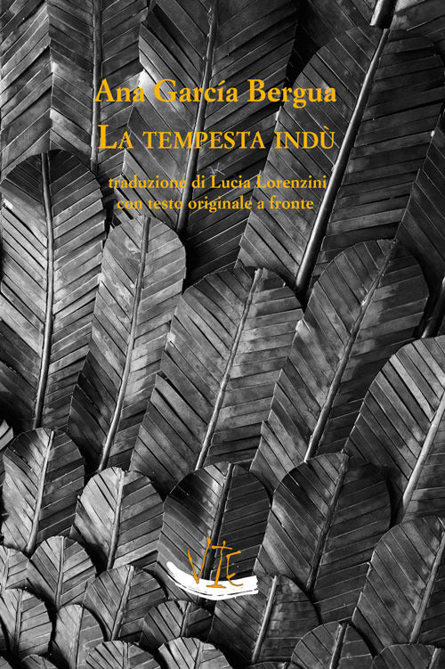Cover of tempesta indù e altri racconti