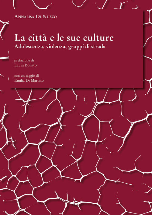 Cover of città e le sue culture. Adolescenza, violenza, gruppi di strada