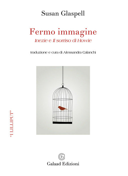 Cover of Fermo immagine. «Inezie» e «Il sorriso di Howie»