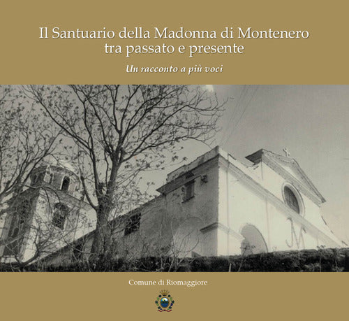 Cover of Santuario della Madonna di Montenero tra passato e presente. Un racconto a più voci