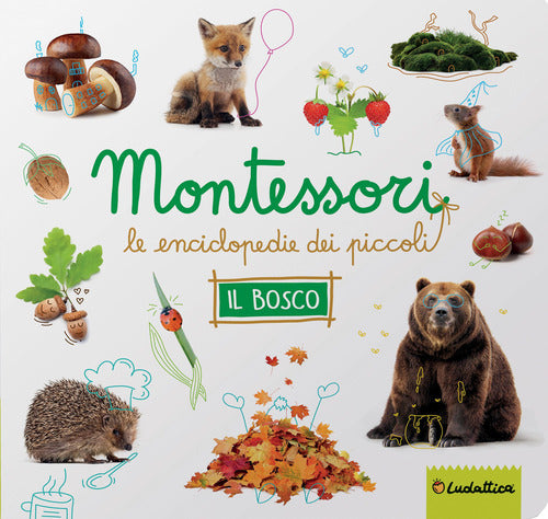 Cover of bosco. Montessori. Le enciclopedie dei piccoli