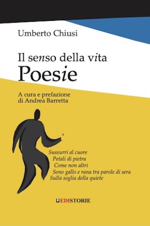 Cover of senso della vita