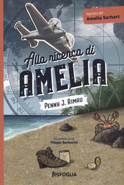Cover of Alla ricerca di Amelia