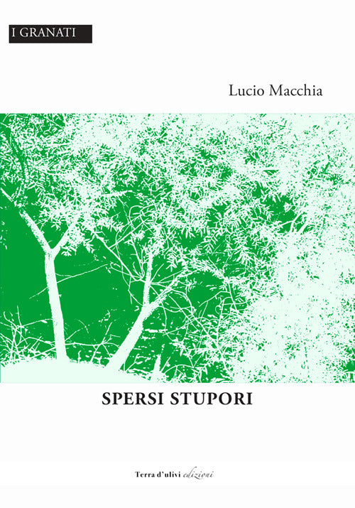 Cover of Spersi stupori