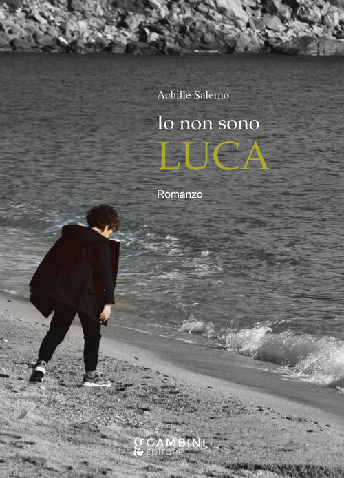 Cover of Io non sono Luca