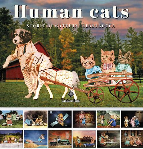 Cover of Human cats. Storie di gatti in filastrocca