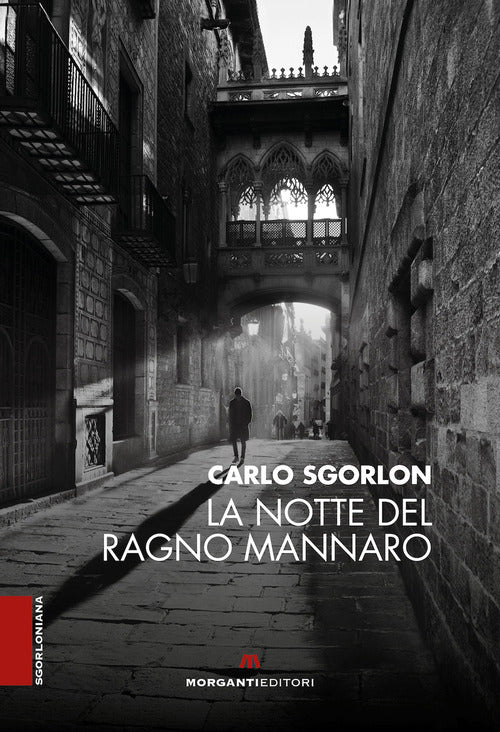 Cover of notte del ragno mannaro