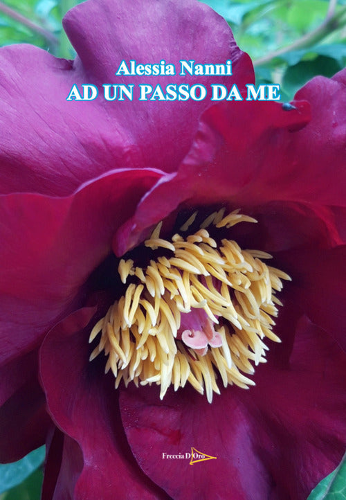 Cover of Ad un passo da me